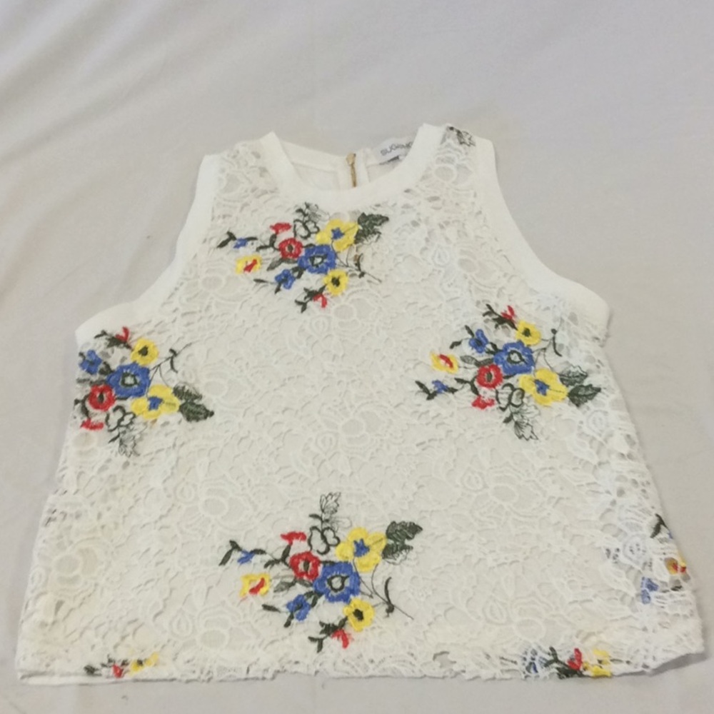 Multi colored embroidered see-through lace front